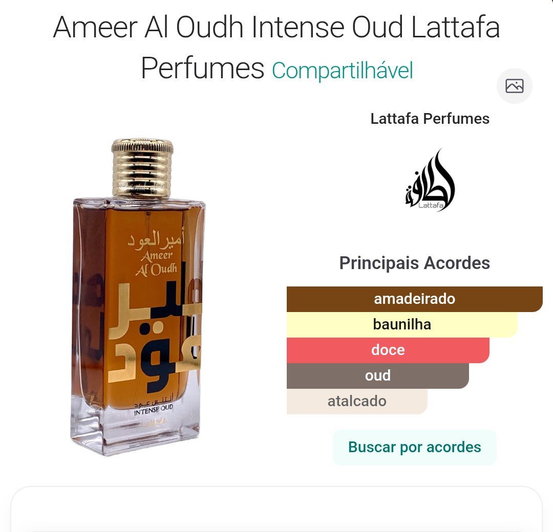 Ameer Al Oud EDP 100 ml